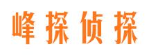 寻甸侦探